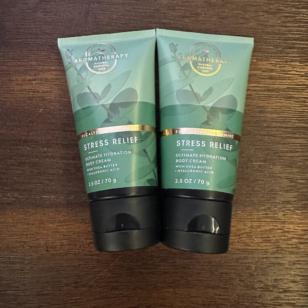 BATH & BODY WORKS (x2) Eucalyptus Spearmint Stress Relief Body Cream Hand Aroma